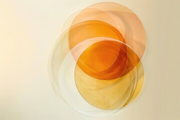 Soft Harmony: Overlapping Translucent Circles in Warm Neutrals