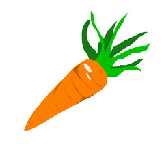 carrot isolated on white