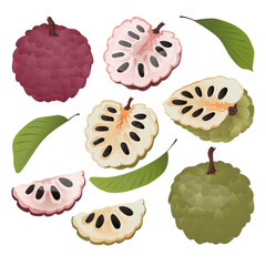 Set cherimoya (Custard Apple) fruit with leaves.