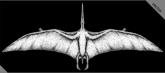Vintage engraving isolated pterosaur set illustration pterodactylus ink sketch. Flying dinosaur background silhouette Jurassic art. Black and white hand drawn vector image