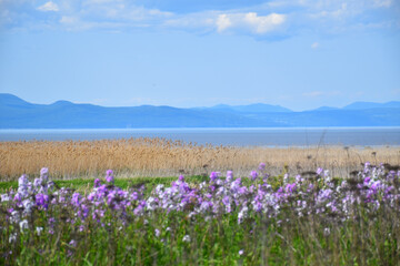 Fototapeta premium The Saint Lawrence River in summer, Québec, Canada