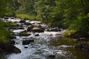 A river in summer, Saint-Damase, Québec, Canada