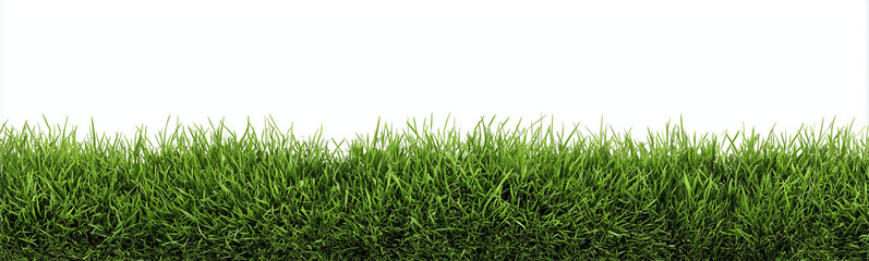 Fototapeta premium a horizontal border of green grass isolated on a white background