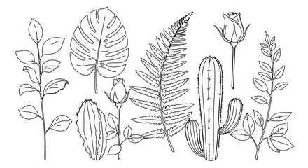 Fototapeta premium Botanical line art collection with cactus, fern, rose, monstera and leaves
