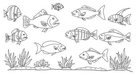 Fish collection group of different fish in the sea with seaweed and coral