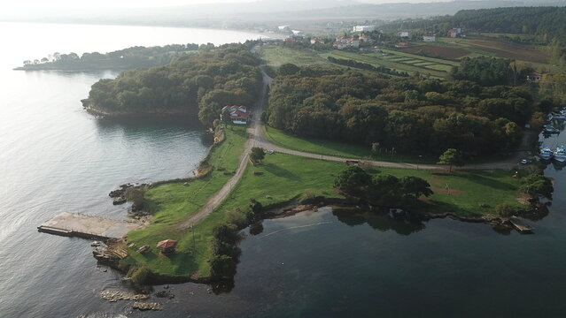 karadeniz de bir orman - Powered by Adobe