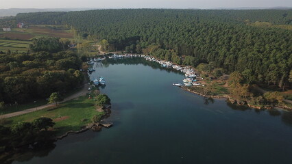 karadenizde orman manzarası