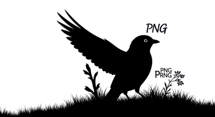 Black bird or crow silhouette standing on grass with wings spread graphic resource illustration. isolated PNG with Transparent Background