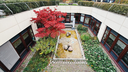 Stunning Aerial View of a Serene Courtyard Featuring a Striking Red Maple Tree Surrounded by Lush Greenery and a Reflective Water Pool