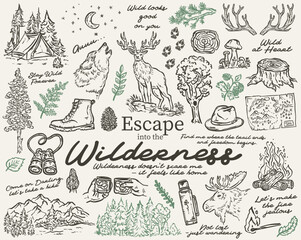 Escape into the Wilderness vector hand drawn illustration set © Wiktoria Matynia