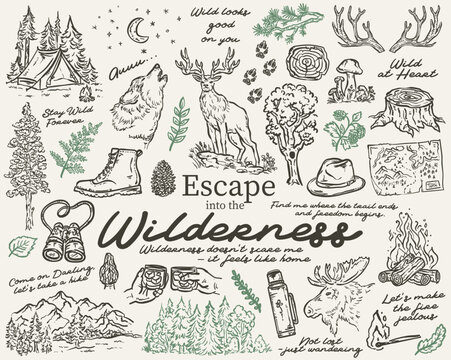 Escape into the Wilderness vector hand drawn illustration set