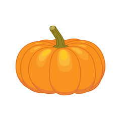 Pumpkin. Color vector illustration in cartoon style. Isolated on white background.	
