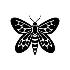 Stylized moth illustration in black on transparent background silhouette