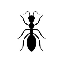 Illustration of a single black ant insect on transparent background silhouette
