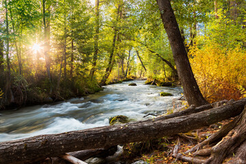 Hat Creek flowing through autumn forest near Bridge Campground in Shasta County, California, with golden foliage and morning sunlight.