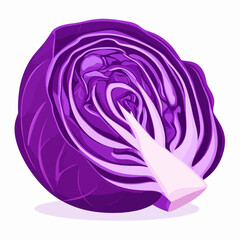 Obraz premium Vibrant illustration of a halved red cabbage, showcasing its intricate layers and purple hue.