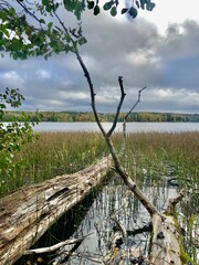 Peaceful lake view on hiking path near Otep&auml;&auml;, Estonia