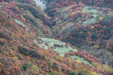 栃木県　紅葉真っ盛りの那須岳
