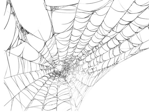 spider net vector illustration, PNG Stock royalty free. transparent background