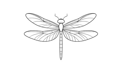 Black and white illustration of a dragonfly. The insect features delicate wings with intricate vein patterns and a long, slender body