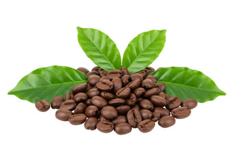 Pile of roasted coffee beans with green leaves isolated, aromatic ingredient for coffee beverage and caffeine drink preparation