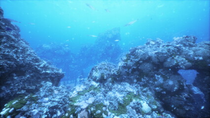 Diving beneath the surface reveals a stunning underwater landscape filled with colorful coral formations and schools of fish amidst clear blue waters, showcasing the beauty of ocean ecosystems.