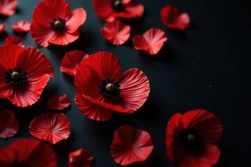 Intricate red poppy petals, scattered, dark background, wallpaper, macro
