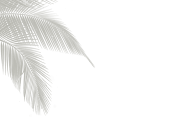 Subtle Botanical Overlay Adds Depth Seamlessly blending Leaf Veins for Modern Designs and Layered Composition