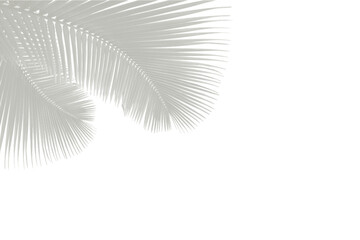 Minimalist Branch Illustration Gently Highlights Edge Adds Organic Touch to Clean Layouts and Modern Aesthetics