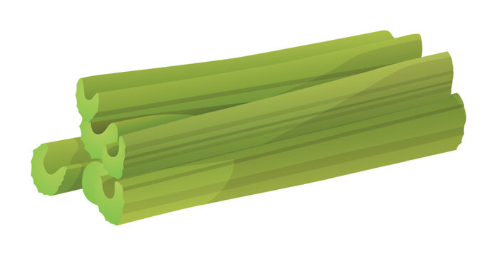 Realistic fresh ripe celery isolated on white background - Vector illustration