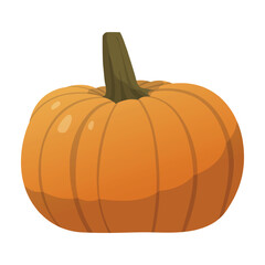 Realistic fresh ripe pumpkin isolated on white background - Vector illustration