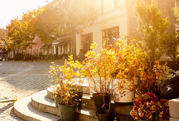 View Of Old Town Street In Autumn
