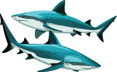 Two Caribbean reef sharks swimming underwater with small fish, marine wildlife photography, ocean predator species, aquatic life on white background