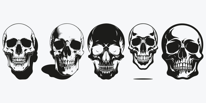 scull sketch illustration vector set