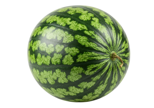 Isolated watermelon fruit featuring dark green rind and mottled light green pattern food item