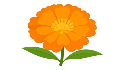 Bright orange, layered petals bloom with a yellow center atop a green stem and leaves, set against a white backdrop