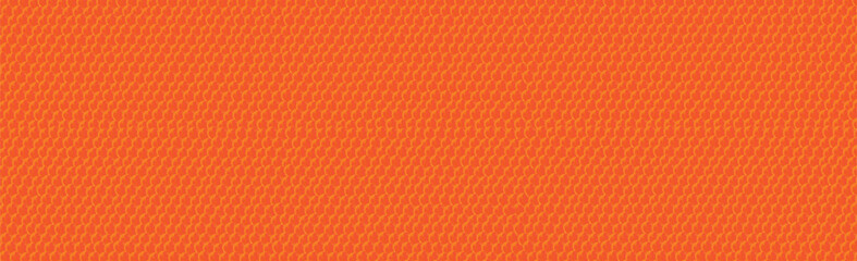 Panoramic background of red eggs of sea fish - Vector illustration