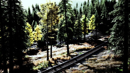 Obraz premium Brightly colored trees line a narrow track, creating a serene ambiance. Warm sunlight filters through the foliage, illuminating the tranquil scene. Nature blends perfectly with the railway.
