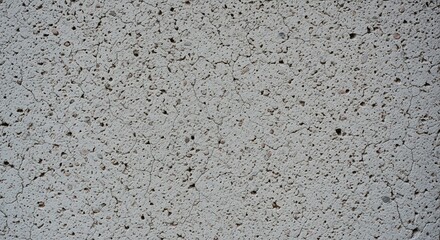 Gritty Light Gray Cement Wall Texture with Irregular Specks and Blemishes