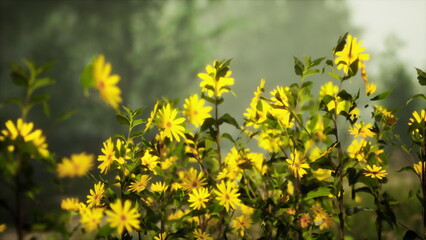 In a serene forest, vibrant yellow flowers sway gently in the breeze. Sunlight breaks through the mist, illuminating the beauty of natures growth, creating a peaceful atmosphere.