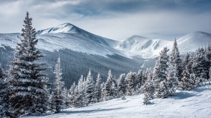 Fototapeta premium Winter Mountain Landscape with Snow-Covered Trees and Peaks, Cold Weather Scenery, Outdoors