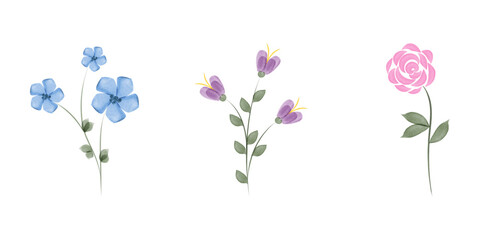 Three illustrations showcase watercolor flowers. There a blue flower, a purple flower, and a pink rose. All the flowers have green stems and leaves, and are against a plain white backdrop.