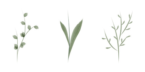 Three watercolor drawings of simple green plant stems and leaves. These delicate illustrations suggest growth and conservation, appropriate for environmental designs.