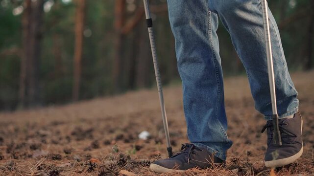 Man walks through a forest in nordic walking. nature hike hiker concept. a man walks through a forest with sticks. a man lifestyle walks with sticks and legs through the forest.