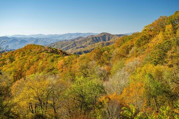 great smoky mountain national park