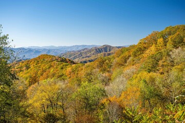 great smoky mountain national park