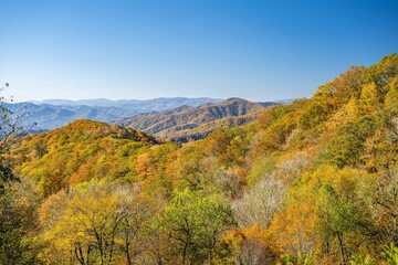 great smoky mountain national park
