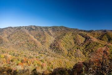 great smoky mountain national park