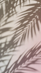 Palm leaf shadows on beige wall, tropical minimal background