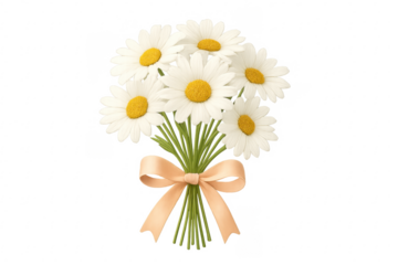 Daisy bouquet with ribbon on transparent background